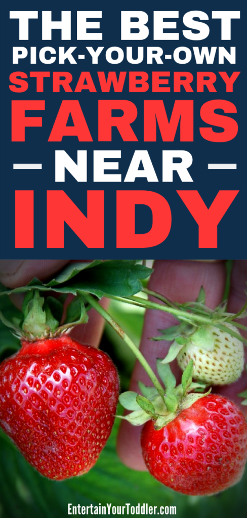 strawberry picking indiana        
        <figure class=