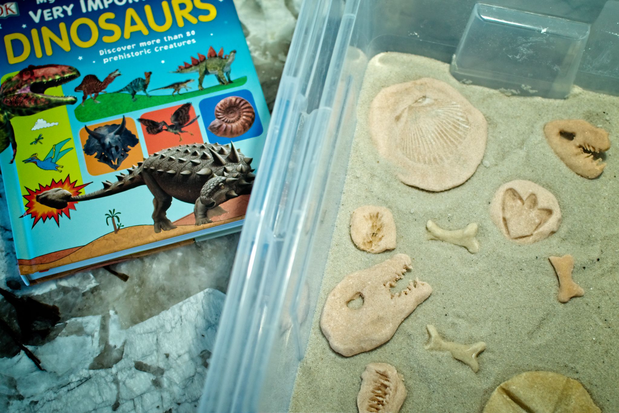 make your own dino dig