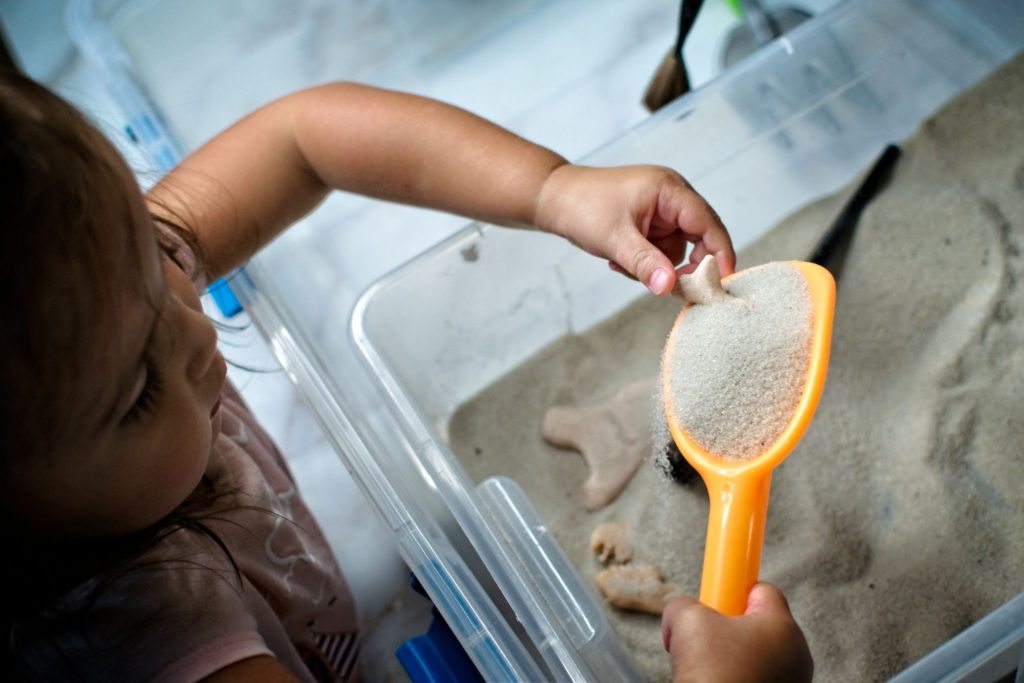 pretend dinosaur fossils